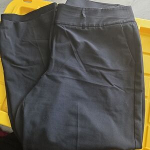 Lane Bryant Men's Dark Chinos